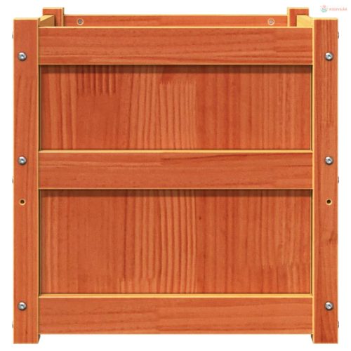 Viaszbarna tömör fenyőfa kerti virágláda 50 x 50 x 50 cm