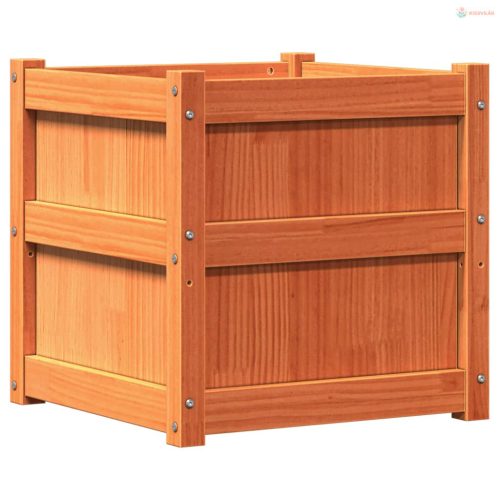 Viaszbarna tömör fenyőfa kerti virágláda 50 x 50 x 50 cm