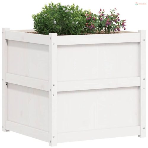 Fehér tömör fenyő virágláda 70x70x70 cm