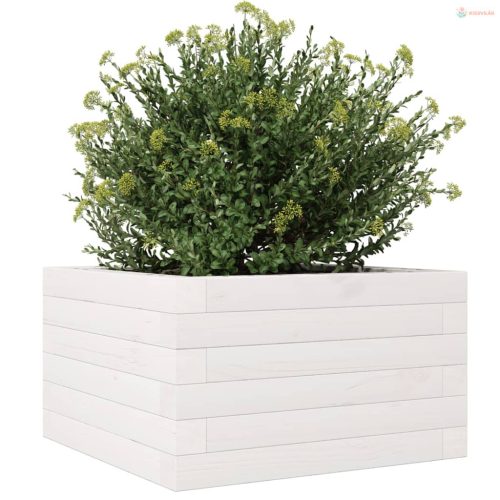 Fehér tömör fenyő virágláda 40 x 40 x 23 cm