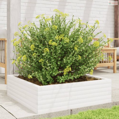 Fehér tömör fenyőfa kerti virágláda 80x80x23 cm