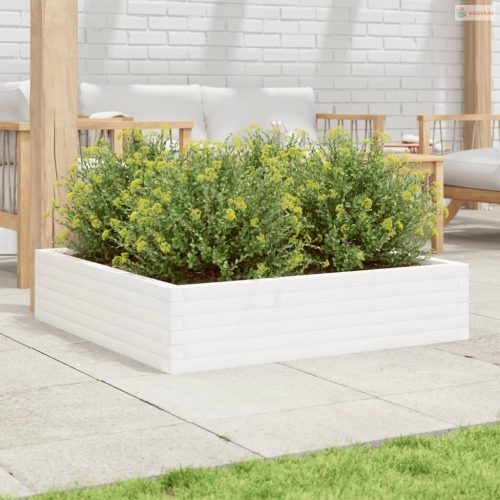 Fehér tömör fenyő virágláda 100 x 100 x 23 cm