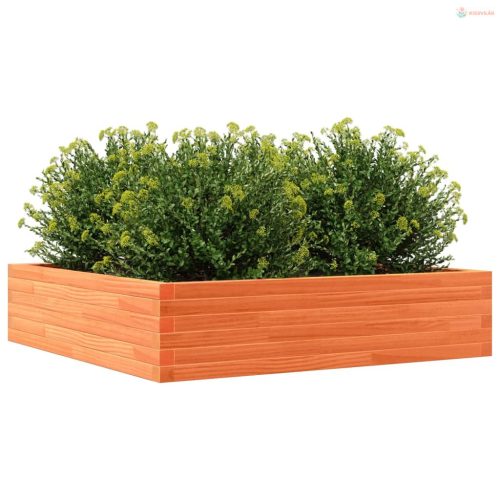 Viaszbarna tömör fenyőfa kerti virágláda 100 x 100 x 23 cm