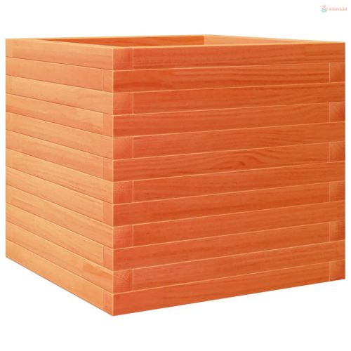 Viaszbarna tömör fenyőfa kerti virágláda 50 x 50 x 45,5 cm