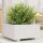 Fehér tömör fenyő virágláda 50x50x26,5 cm