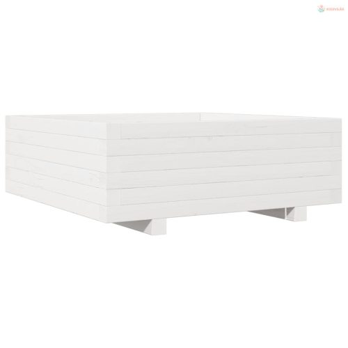 Fehér tömör fenyő virágláda 70x70x26,5 cm