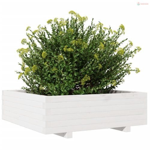 Fehér tömör fenyő virágláda 80x80x26,5 cm