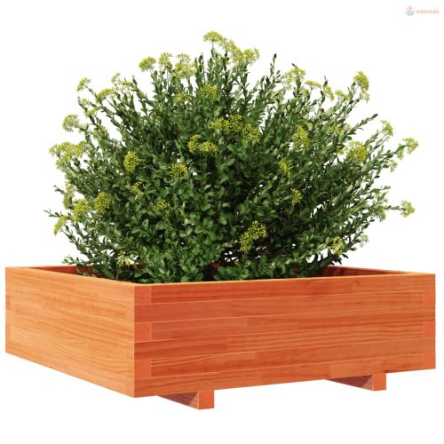 Viaszbarna tömör fenyőfa kerti virágláda 80x80x26,5 cm