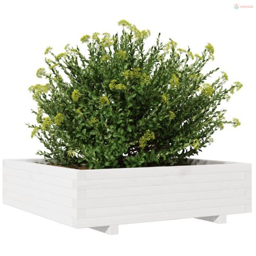 Fehér tömör fenyőfa kerti virágláda 90x90x26,5 cm