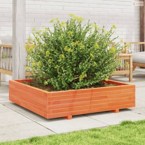 Viaszbarna tömör fenyőfa kerti virágláda 100 x 100 x 26,5 cm