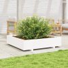 Fehér tömör fenyőfa kerti virágláda 110x110x26,5 cm