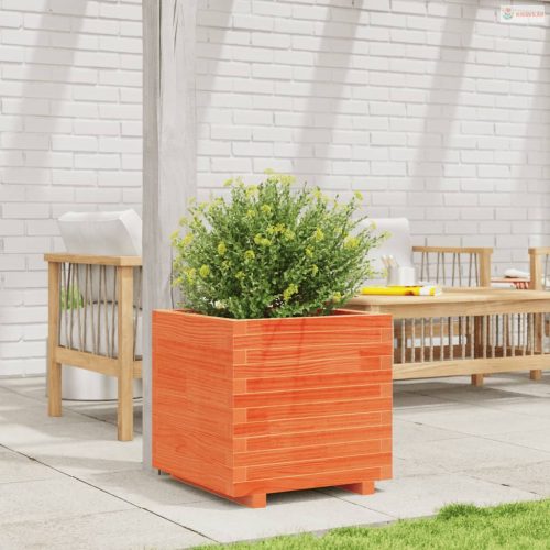 Viaszbarna tömör fenyőfa kerti virágláda 50 x 50 x 49,5 cm