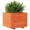 Viaszbarna tömör fenyőfa kerti virágláda 60 x 60 x 49,5 cm