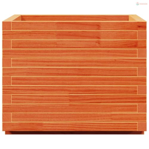 Viaszbarna tömör fenyőfa kerti virágláda 60 x 60 x 49,5 cm