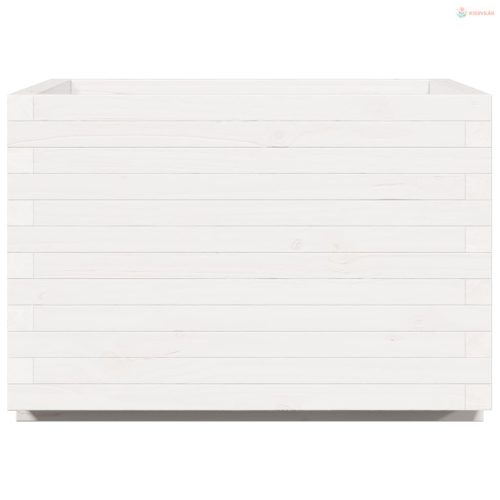 Fehér tömör fenyő virágláda 70 x 70 x 49,5 cm