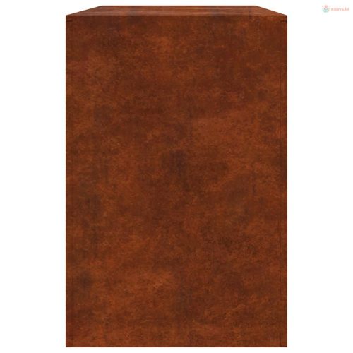 Tűzifa állvány 100x40x60 cm időjárásálló acélból