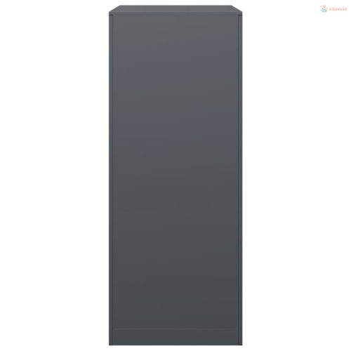 Antracitszürke acél tűzifatároló 60 x 40 x 100 cm