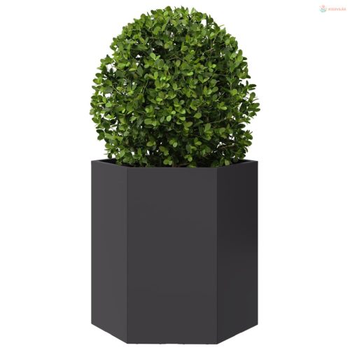 Fekete hatszögű acél kerti növénytartó 46 x 40 x 45 cm