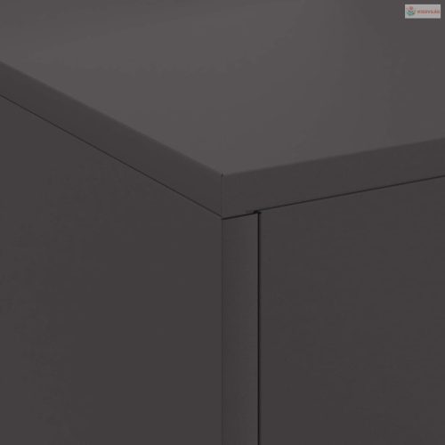 Tűzrakó Fekete 80 x 50 x 96 cm Hidegen hengerelt acél