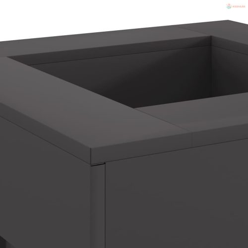 Tűzrakó Fekete 60 x 60 x 30 cm Acél