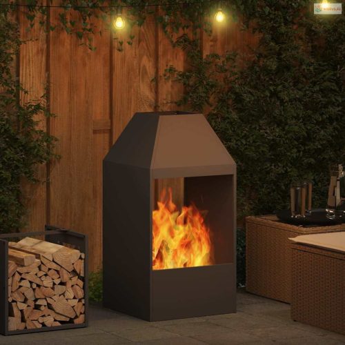 Tűzrakó Fekete 50 x 50 x 100 cm Acél