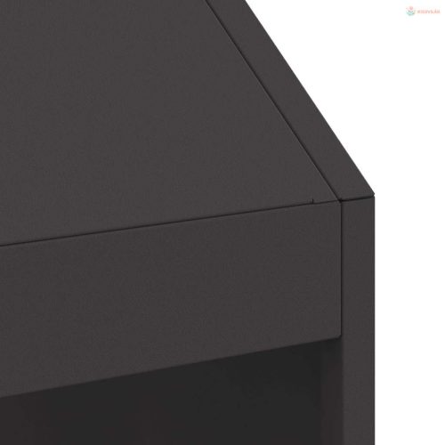 Tűzrakó Fekete 50 x 50 x 100 cm Acél