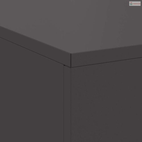 Tűzrakó Fekete 100 x 100 x 30 cm Acél