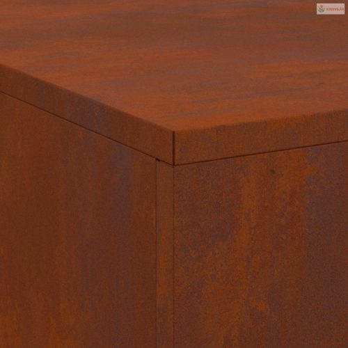 Tűzrakó Barna 100 x 100 x 30 cm Időjárásálló acél