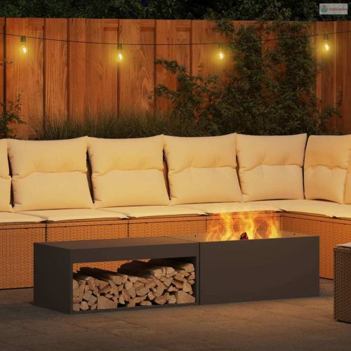 Tűzrakó Fekete 160 x 45 x 35 cm Acél