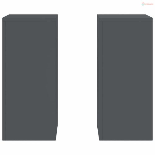Növényállvány 2 pcs Antracit 24 x 24 x 55 cm Acél