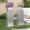 Növényállvány 2 pcs Ezüst 24 x 24 x 75 cm Horganyzott acél
