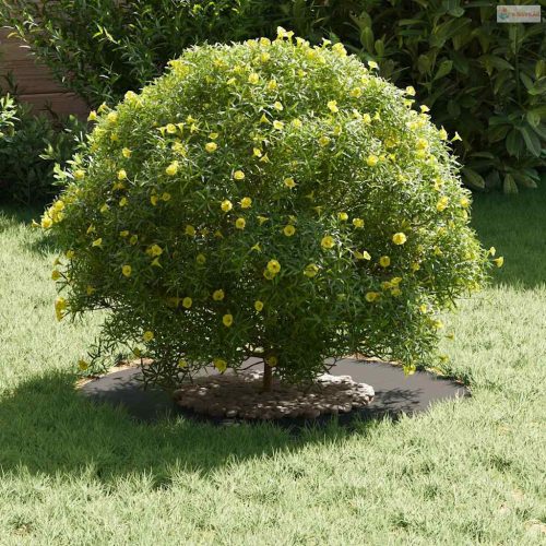 Alkalmas lapos fa gyűrűkhez 5 pcs Fekete Ø30 / 60 cm Acél