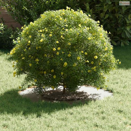 Alkalmas lapos fa gyűrűhöz Fehér Ø30 / 60 cm Acél