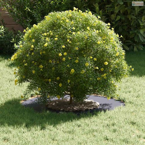 Alkalmas lapos fa gyűrűhöz Antracit Ø30 / 60 cm Acél