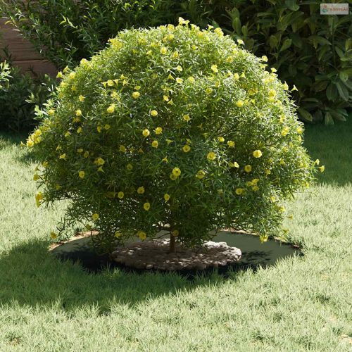 Alkalmas lapos fa gyűrűhöz Oliva zöld Ø30 / 60 cm Acél