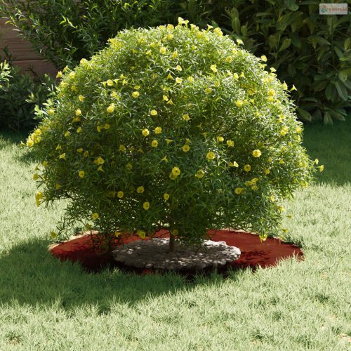 Alkalmas lapos fa gyűrűhöz Barna Ø30 / 60 cm Időjárásálló acél