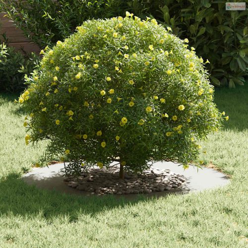 Alkalmas lapos fa gyűrűhöz Fehér Ø40 / 70 cm Acél