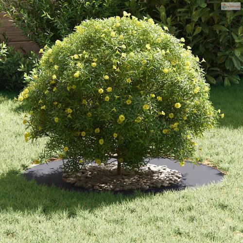 Alkalmas lapos fa gyűrűkhez 5 pcs Antracit Ø40 / 70 cm Acél