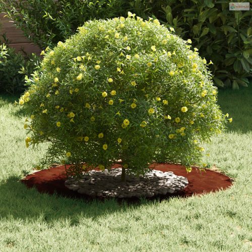 Alkalmas lapos fa gyűrűhöz Barna Ø40 / 70 cm Időjárásálló acél