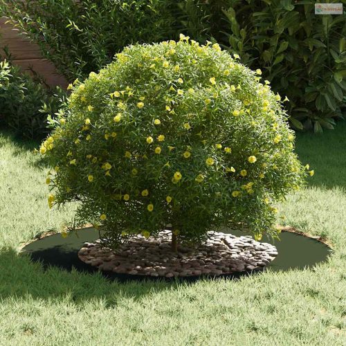 Alkalmas lapos fa gyűrűhöz Oliva zöld Ø50 / 80 cm Acél