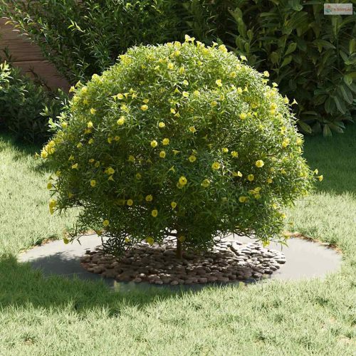 Alkalmas lapos fa gyűrűhöz Ezüst Ø50 / 80 cm Horganyzott acél