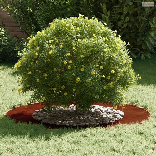 Alkalmas lapos fa gyűrűkhez 5 pcs Barna Ø50 / 80 cm