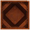 Növénytartó 2 pcs Rozsdás 40 x 40 x 75 cm Időjárásálló acél