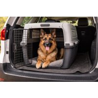 Kutyaszállito boxok és ketrecek