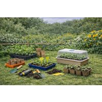 Ültetők és palántázok