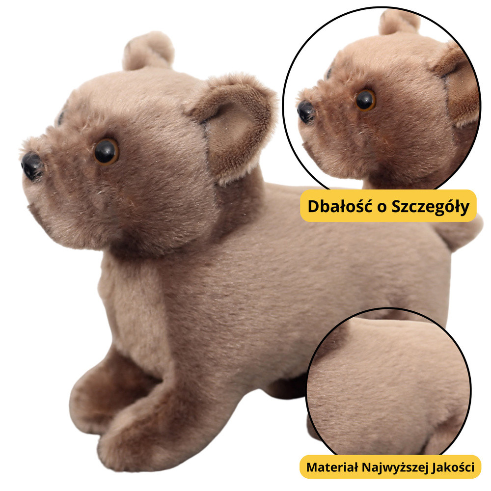 Barna plüss kiskutya, 19 cm
