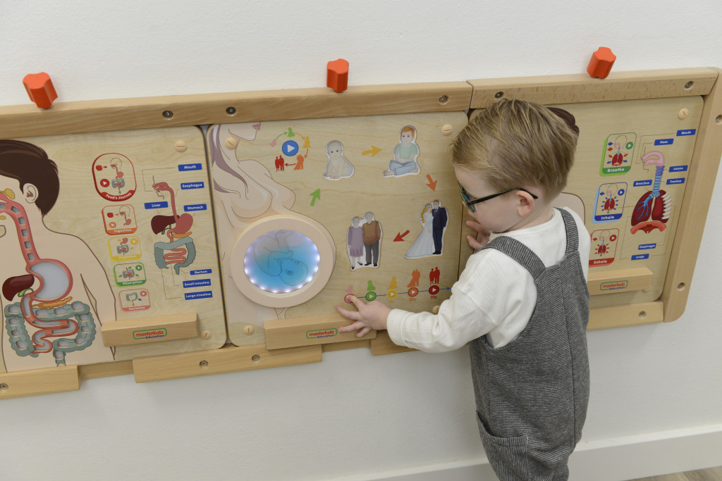 MASTERKIDZ Montessori oktatótábla az emberi élet szakaszairól