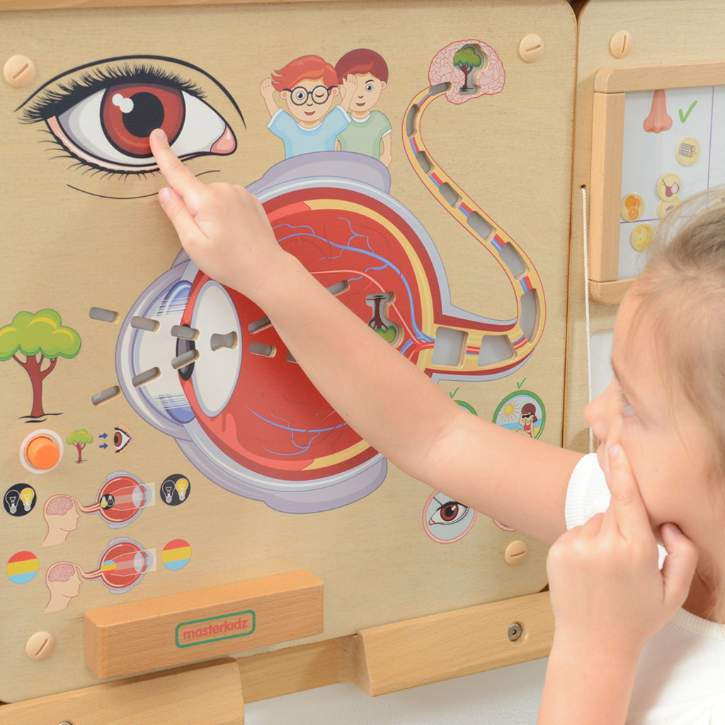 MASTERKIDZ Montessori látásérzékelést bemutató oktatótábla